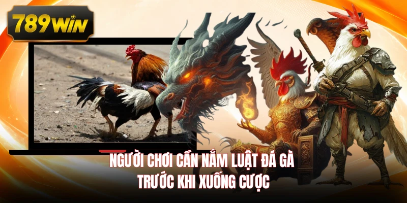 Người chơi cần nắm luật đá gà trước khi xuống cược